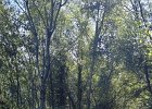 2026-06-15 at 10.36.59 (2)